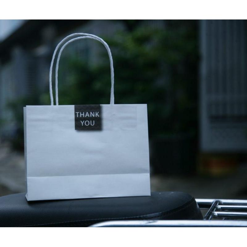 10 túi quai giấy Kraft mẫu 6 đựng phụ kiện thời trang size 19x14,5x7 cm túi quai giấy Kraft