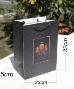 10 túi giấy đứng (mẫu 3) đựng quần áo phụ kiện size 31x21x14 cm