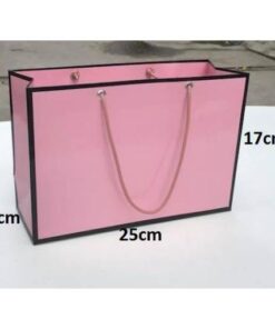 Túi giấy quai ruy băng mẫu đựng quà tặng đựng quần áo size 25x17x9cm