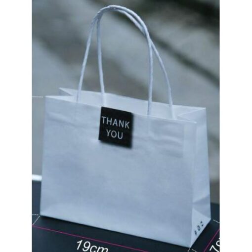 20 túi quai giấy Kraft mẫu 6 đựng phụ kiện thời trang size 19x14,5x7 cm