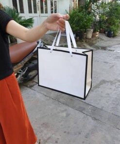 Túi giấy siêu rẻ mẫu 33 thời trang nữ đựng quần áo quà tặng các loại size 22x27.5x11 cm