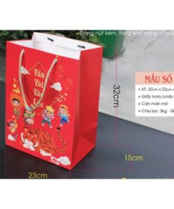 20 túi giấy Tết (mẫu 3) đựng quần áo phụ kiện size 32x23x15 cm - Ảnh 6