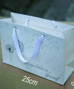20 túi giấy quai ruy băng mẫu 19 đựng quà size 25x17x9cm