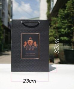 10 túi giấy đứng (mẫu 3) đựng quần áo phụ kiện size 31x21x14 cm